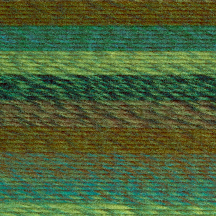 Lion Brand Ferris Wheel 603 Evergreen Acrylic